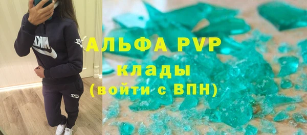 стаф Осташков