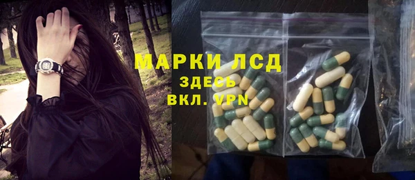 стаф Осташков