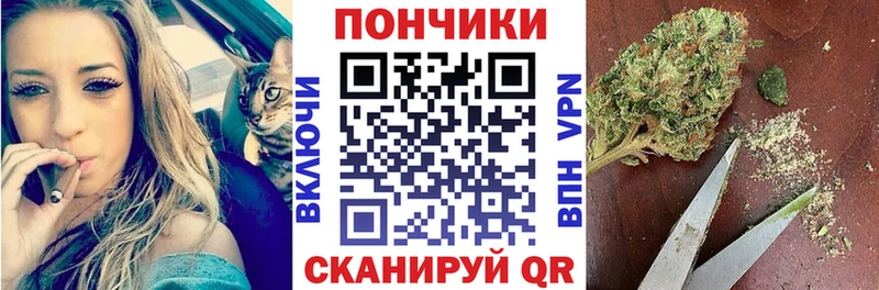 Бошки Шишки сатива  цена   Солнечногорск 