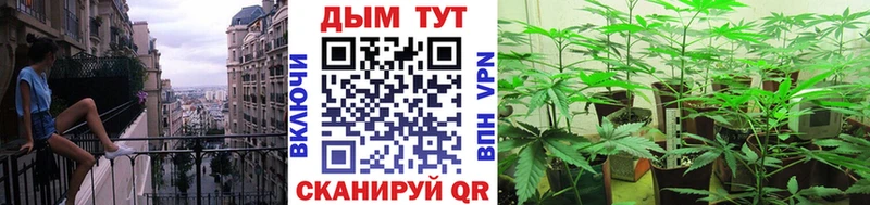 Каннабис семена Солнечногорск